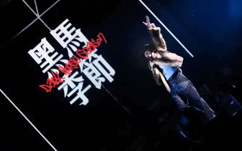 1.6 马思唯"黑马季节"演唱会合肥站全程(更新中)