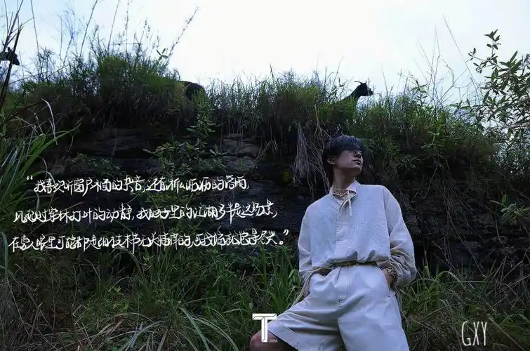 文案来自于@苏七.