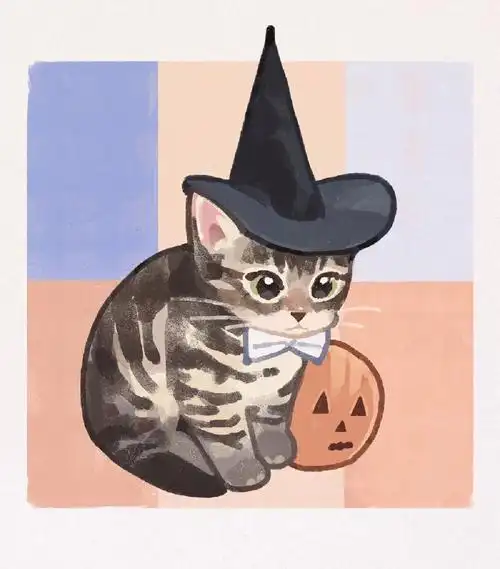 猫猫壁纸背景图