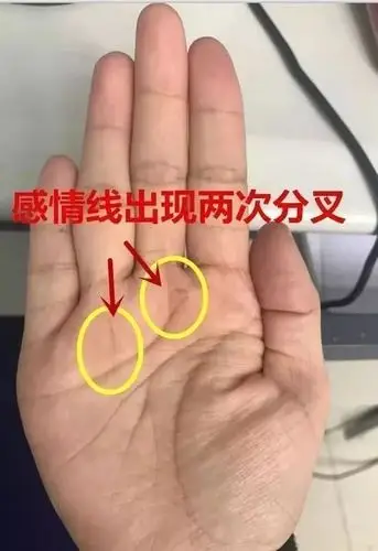 手相看婚姻容易离婚的女人手相