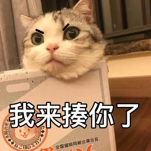 estelle的相册-宠物表情包(带字)