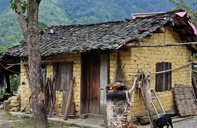 最新房屋补贴政策下发,农村房成为热门,农村户口"有福了"