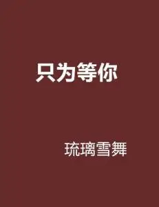 只为等你