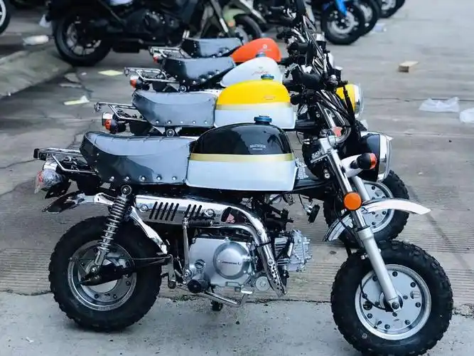 全新金城金童70小号