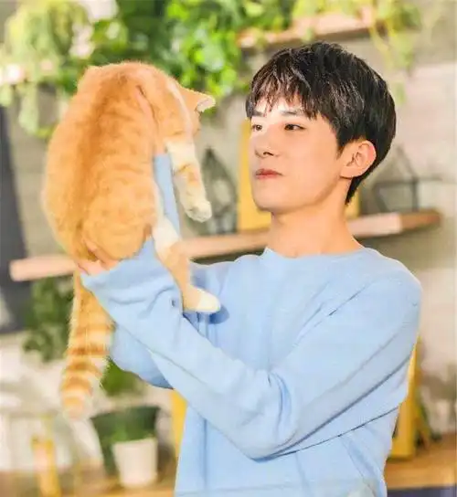 易烊千玺与橘猫互动,举止十分温柔,暖化粉丝的心!