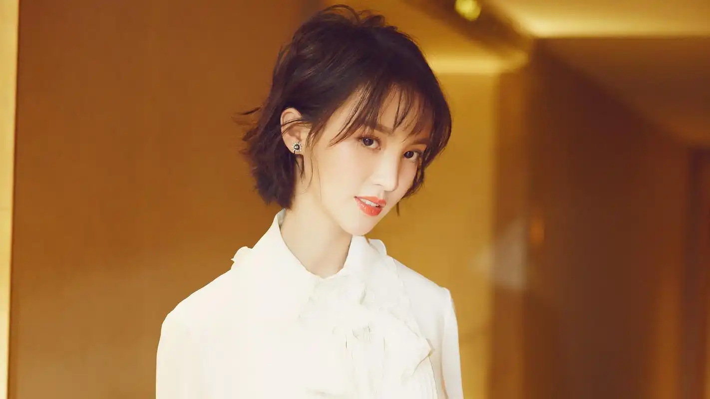 女明星金晨桌面壁纸(14/20)