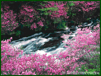 摄影 动态植物 风景 花朵 闪图闪字 .