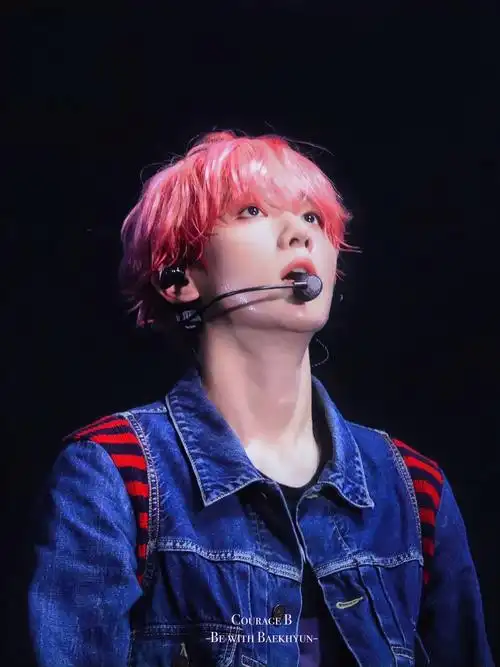 有没有边伯贤的神仙图无水印的那种啊啊啊啊跪求啊昨天恢复出厂设置枯