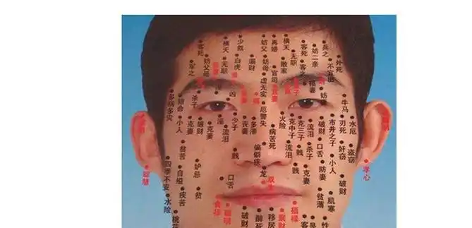 男人脸上痣相详细解析图解大全,男人脸上的痣图解大全面相-周易算命网