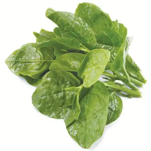 木耳菜(1份,约350g)