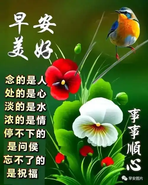 2023年7月21日早安图片大全动态表情早上好问候语图片唯美温馨大全