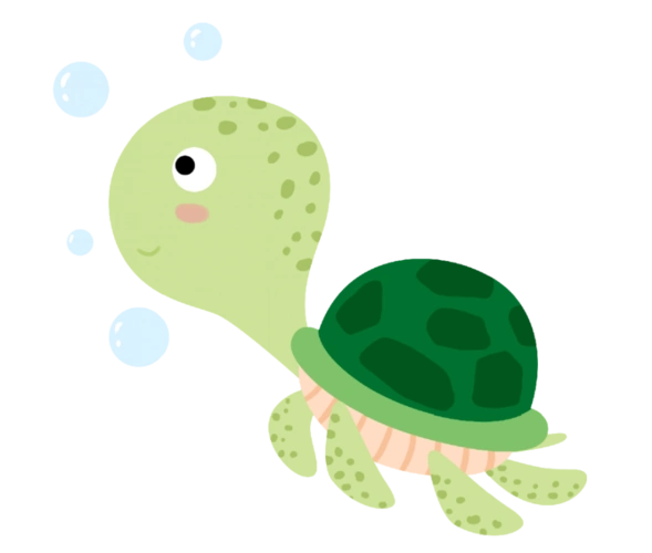 海洋生物多样性|小海龟的艰难求生路_腾讯新闻