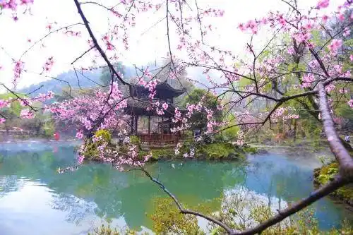 写美篇         桃花涧景区位于江苏省连云港市锦屏镇,是云台山风景区