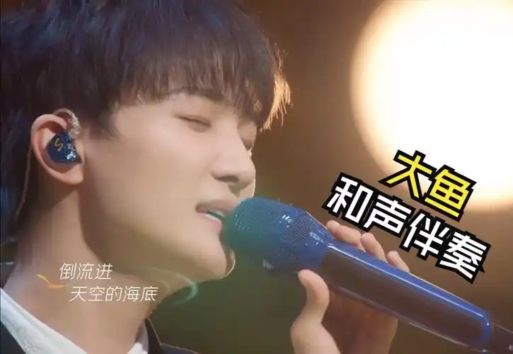 95-大鱼(唱片版) 周深《深的深》和声伴奏 mmo