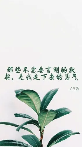 王源文字壁纸