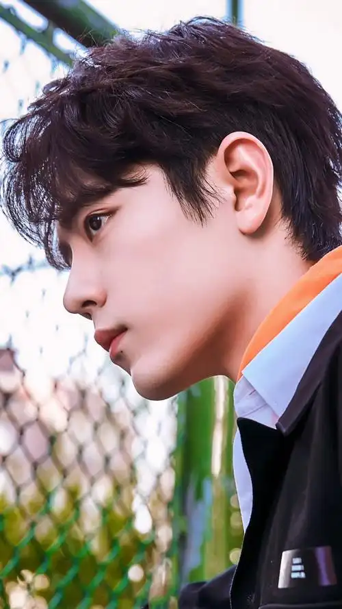 肖战 壁纸 桌面 写真