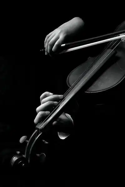 求这种风格的照片,记得还有长笛的