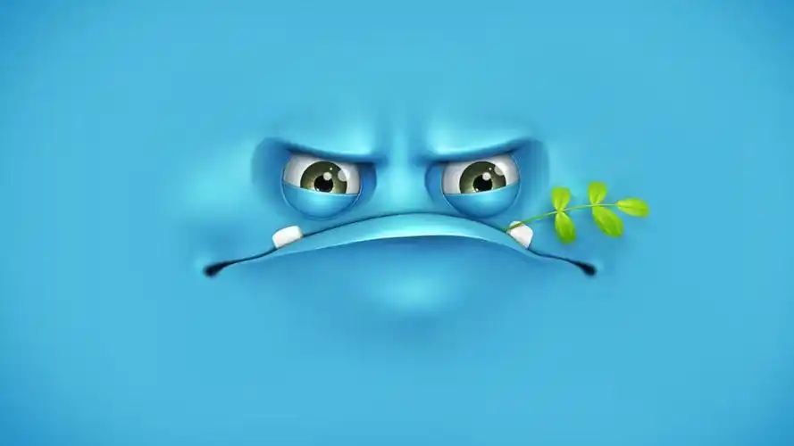 脾气暴躁的全高清壁纸和背景