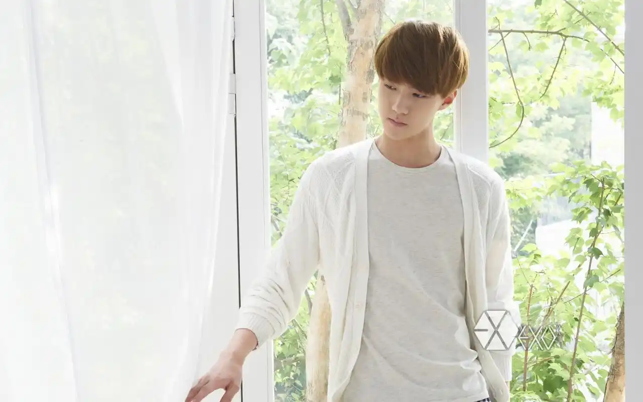 养眼帅哥exo吴世勋高清电脑桌面壁纸第二辑