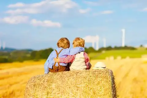 两个孩子男孩和朋友坐在干草堆上