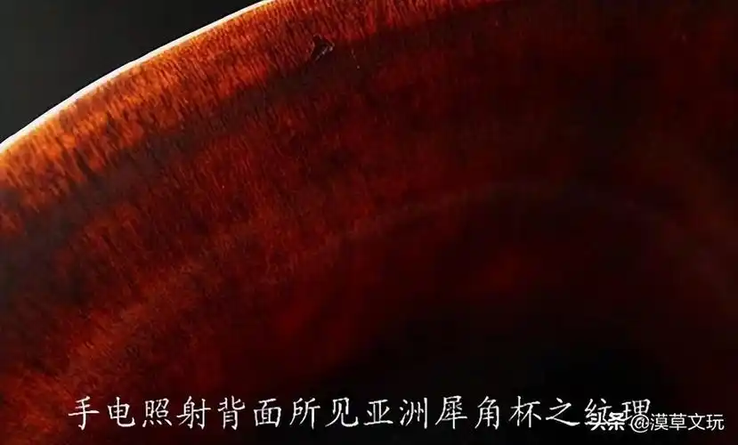 罕见真假犀角放大100倍对比图