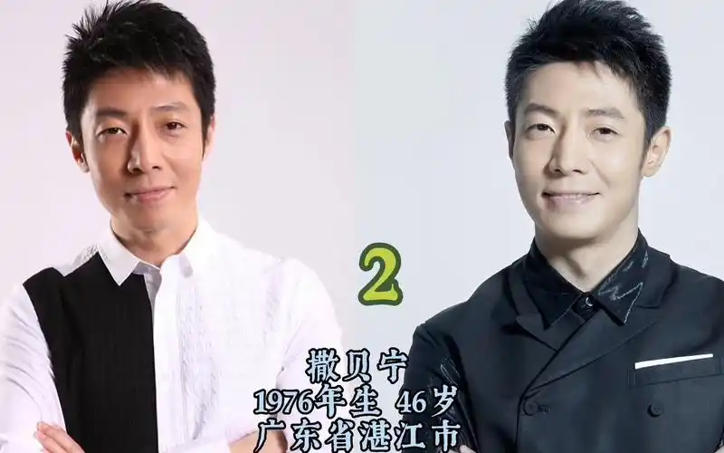 央视十大最帅男主持人,颜值丝毫不输明星