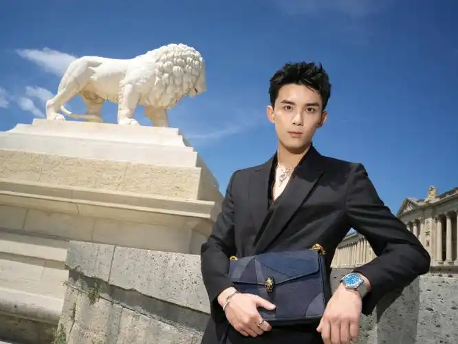 stars love bvlgari#@吴磊leo佩戴bvlgari宝格丽珠宝,腕表及包袋灼贩