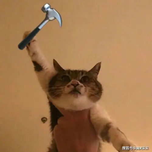 微信搞笑头像搞笑头像图片大全搞笑头像女生男生通用高清逗比沙雕搞笑