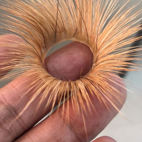 紫貂胡须弹力情趣环羊眼圈夫妻用品男士器具海狗须毛毛虫成人玩具