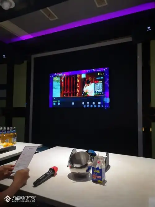 资阳哪家ktv比较安逸?明天晚上想跟朋友去唱歌,大概七,八个人!