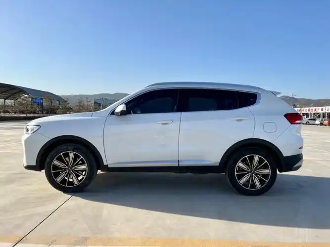 哈弗 h6  2021款 国潮版 1.5gdit 自动豪华版图片