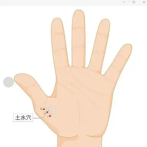 【解剖】(肌肉)有外展拇短肌和拇对掌肌.(血管)当拇指头静脉回流支.