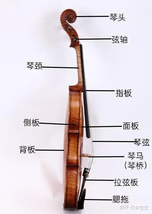 小提琴入门课(1.认识小提琴)