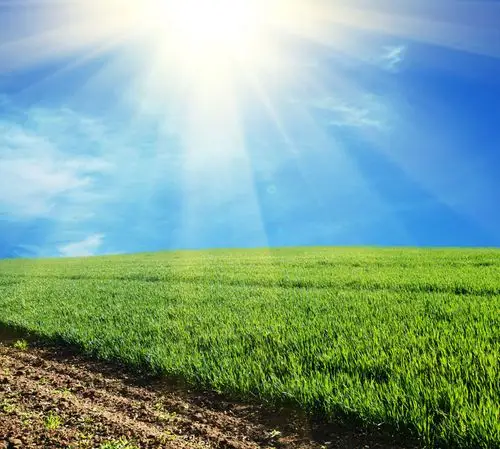 美丽麦田风光高清图片