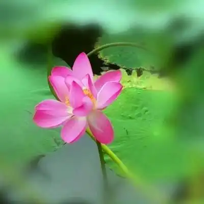 唯美风景头像图片大全高清