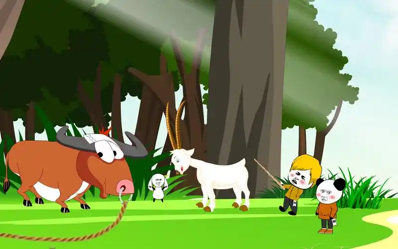想看牛跟羊打架结果悲剧了