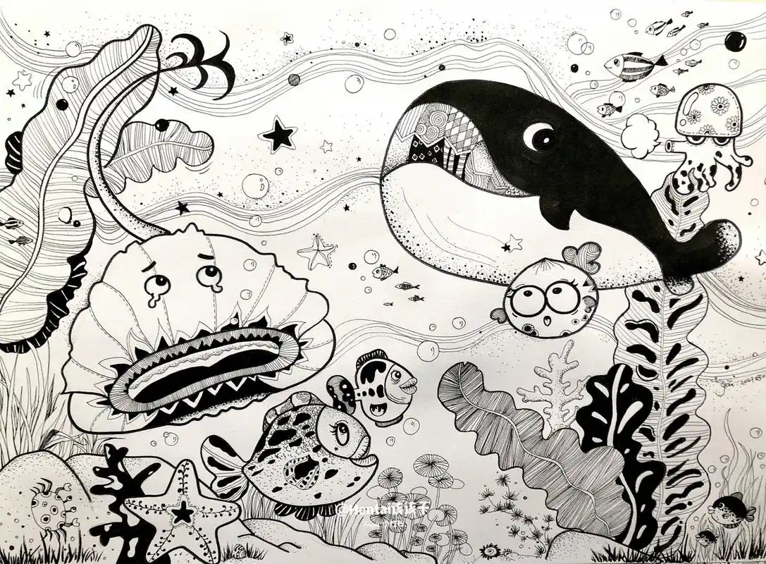 线描画|黑白线描|儿童线描《海底世界》 适合6～8岁左右儿童,两课时