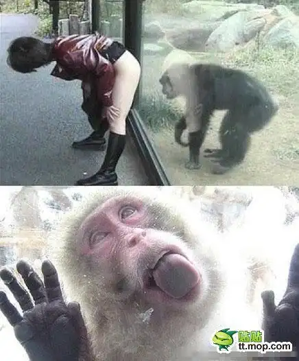 我电脑里面收集的一些超级搞笑的图片.发给老乡们分享一哈~! - 摄影拍