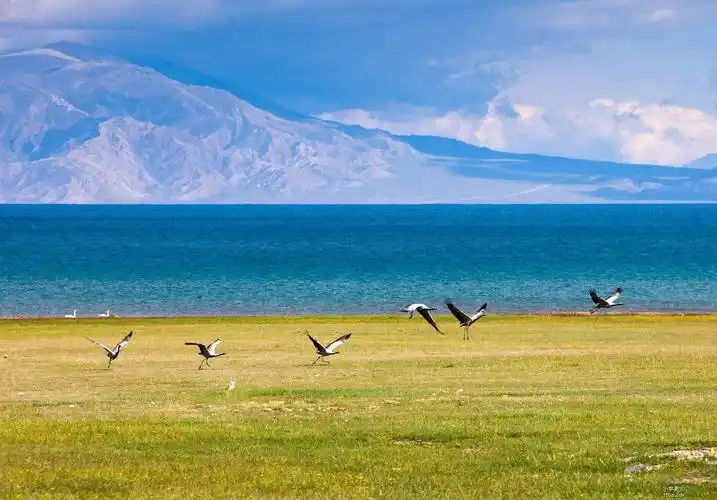【线路介绍】 青海:三江之源,大美青海 这里有闻名世界的可可西里