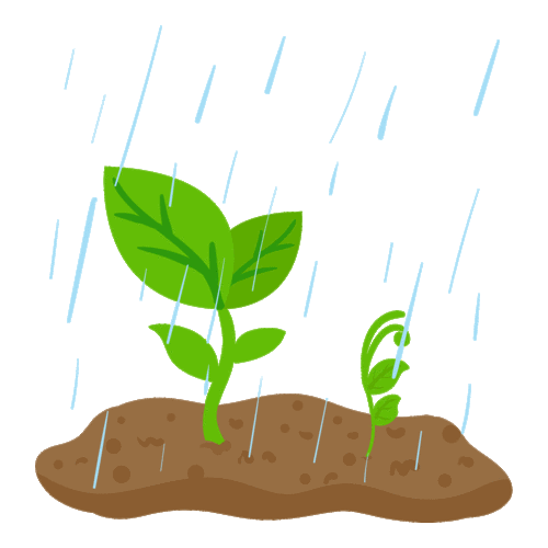 想一想,除了胡萝卜,还有谁会在你细心的呵护下发芽呢?还真不少呢!