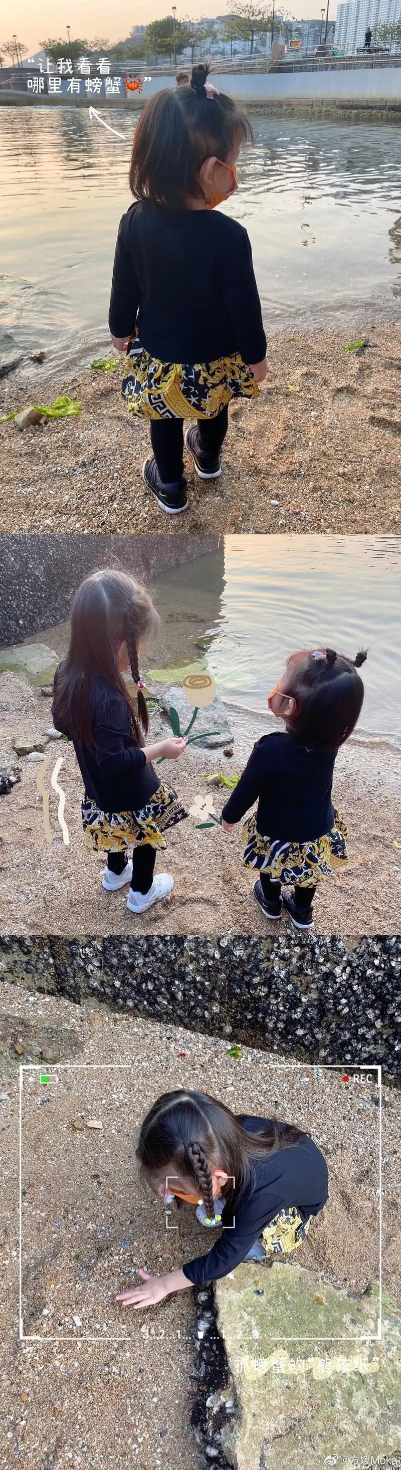 方媛带俩女儿出门春游 晒萌娃背影超可爱