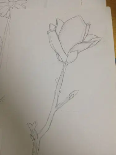 按照惯例,放上一张扫描图 总结: 1,上次提到了雪山牌的素描纸好像马克