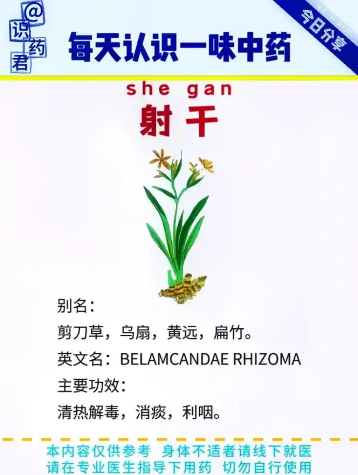 每天认识一味中药-射干.别名: 剪刀草,乌扇,黄远,扁竹.  - 抖音