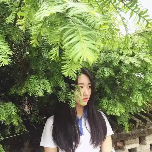 2号 深大附中准高二 杨可伊百合外国语学校(已毕业)准高一 黄新琪 会