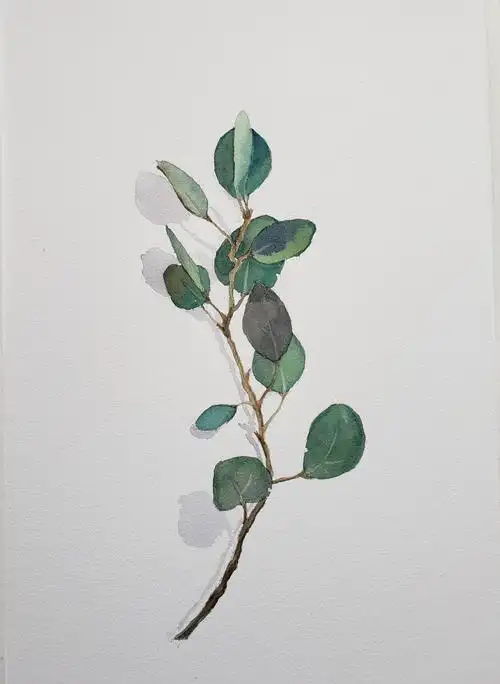 2021年水彩涂鸦(更新中) - 美篇