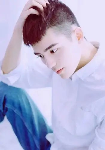 飞机头发型又分长飞和短飞,亚洲人发质比较软,选择短飞的