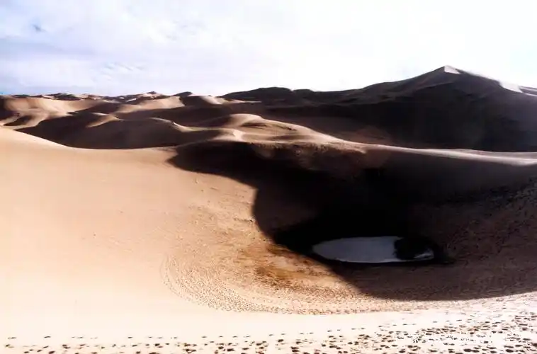 新疆阿尔金山自然保护区库木库勒沙漠的泉眼