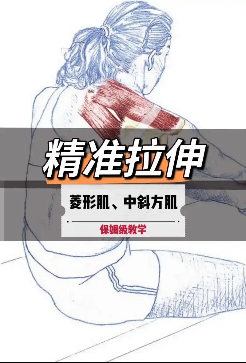 精准拉伸菱形肌,中斜方肌.发力对于这一运动非常重要,因为位于 - 抖音