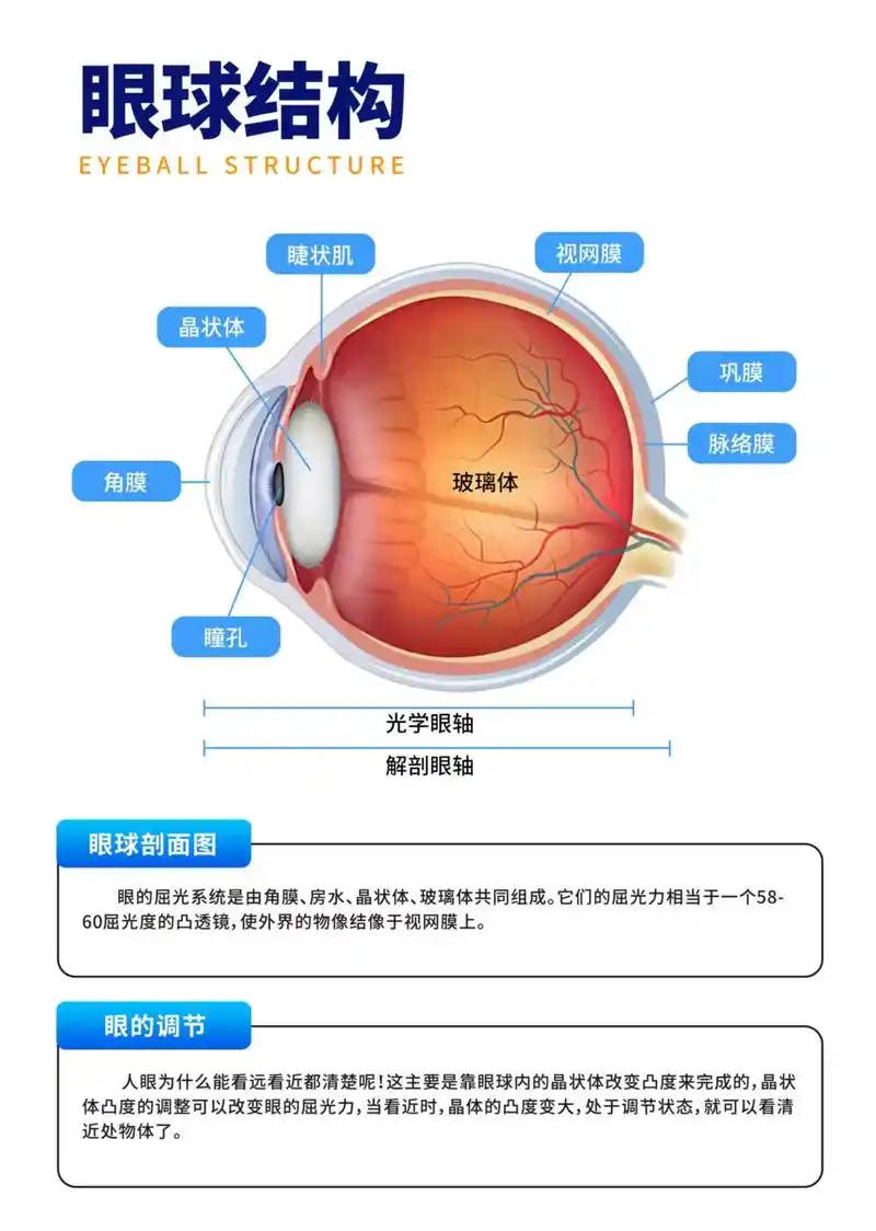了解眼睛原理之后发展可 - 抖音