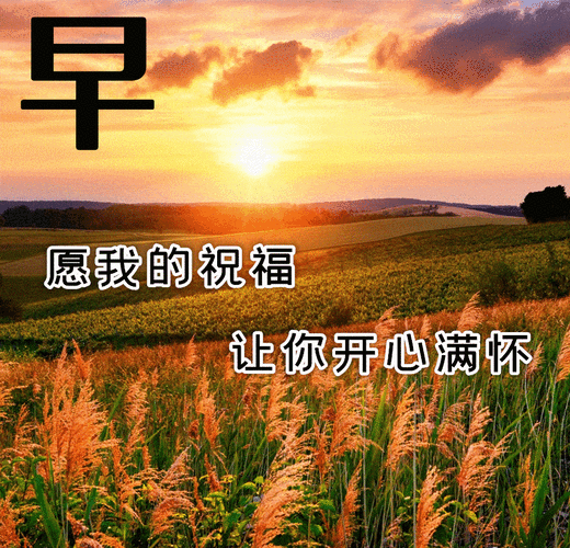 鲜花早上好表情包图片大全,祝大家事事顺心健康快乐!_一生_朋友_生活